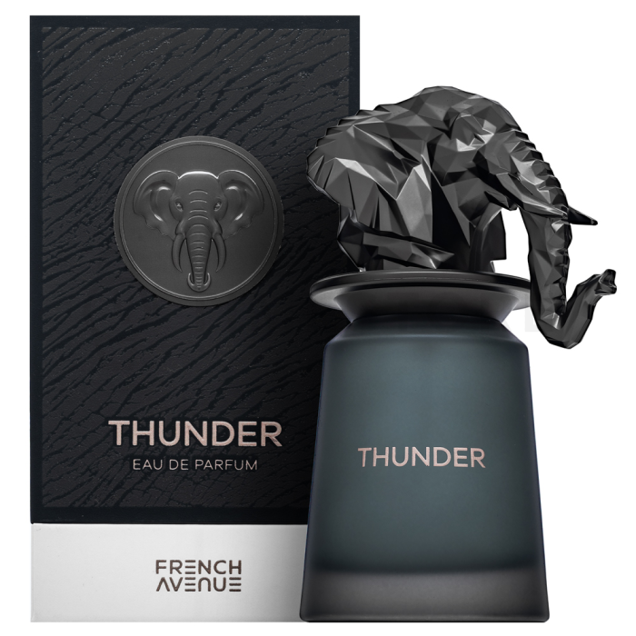 French Avenue Thunder parfémovaná voda pre mužov 100 ml