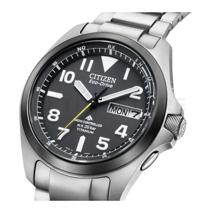Citizen Promaster
