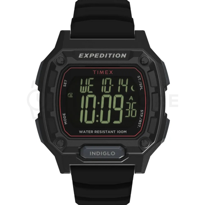 Timex Expedition