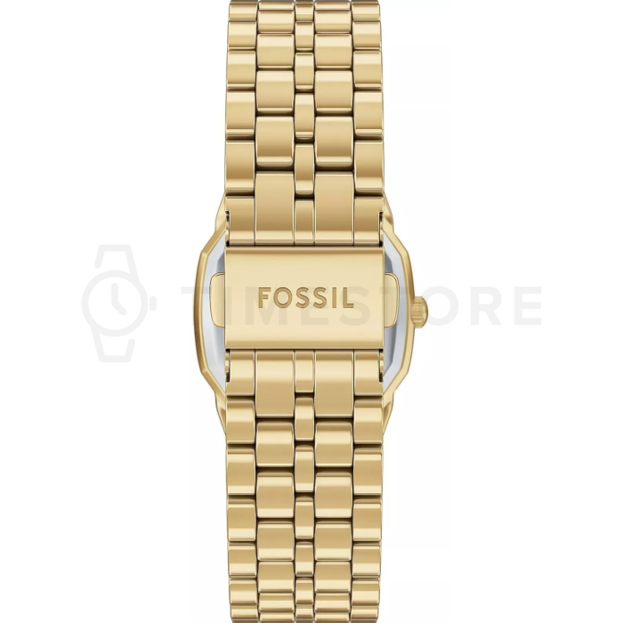 Fossil Harlow