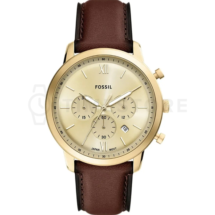 Fossil Neutra