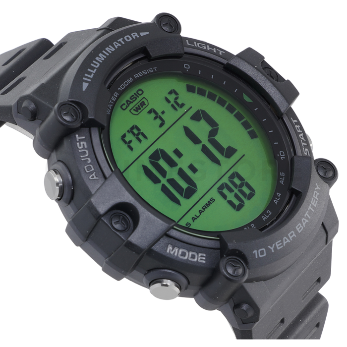 Casio Timeless