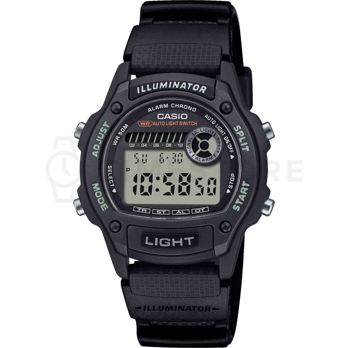 Casio Timeless