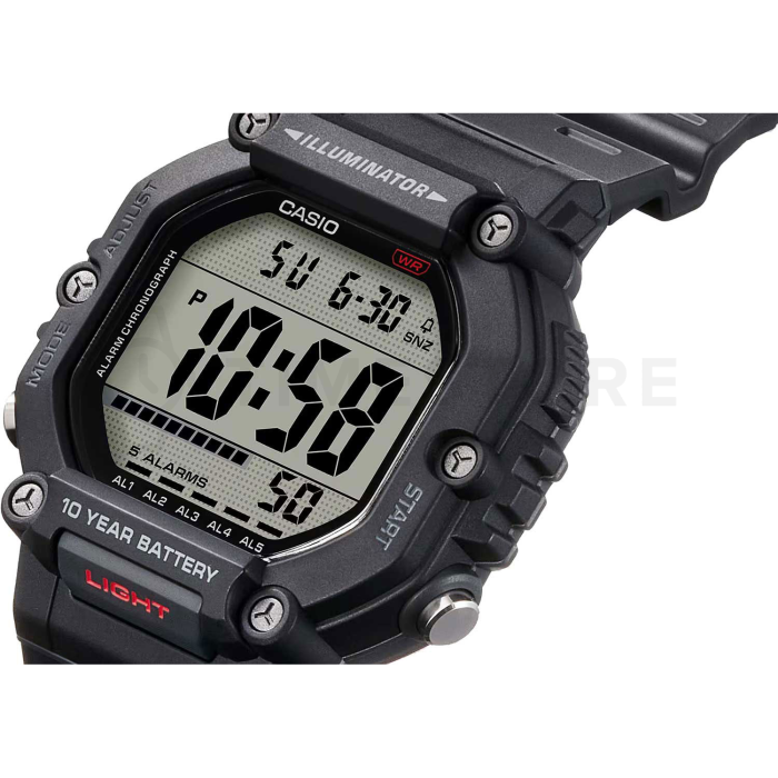 Casio Timeless