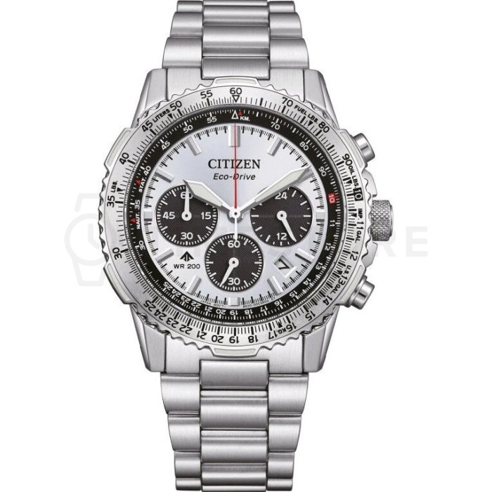 Citizen Promaster CA4660-61A