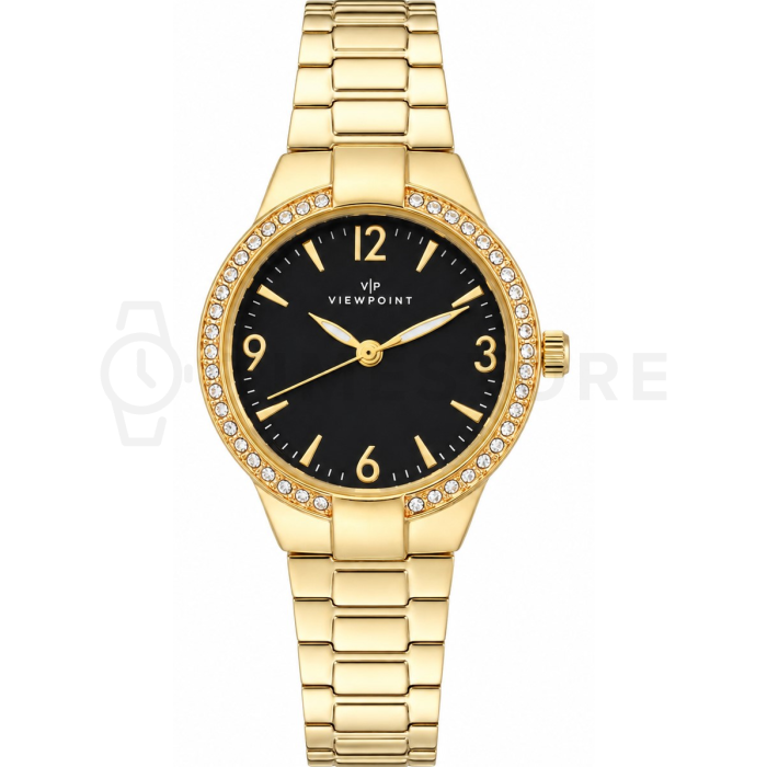 Timex Viewpoint