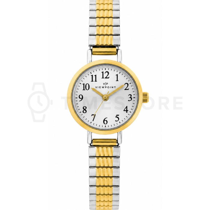 Timex Viewpoint