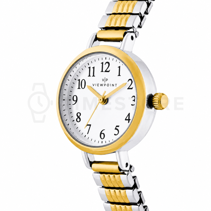 Timex Viewpoint