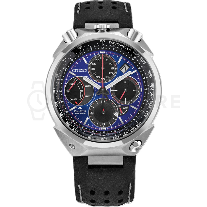 Citizen Promaster