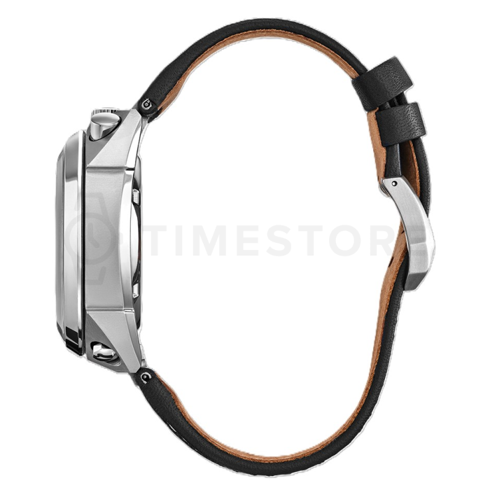 Citizen Promaster