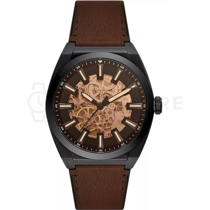 Fossil Everett