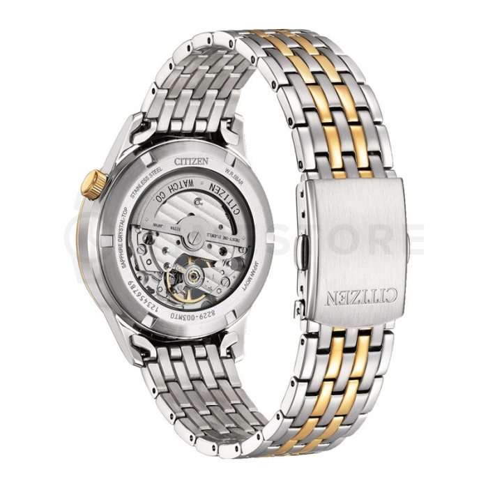 Citizen Mechanical
