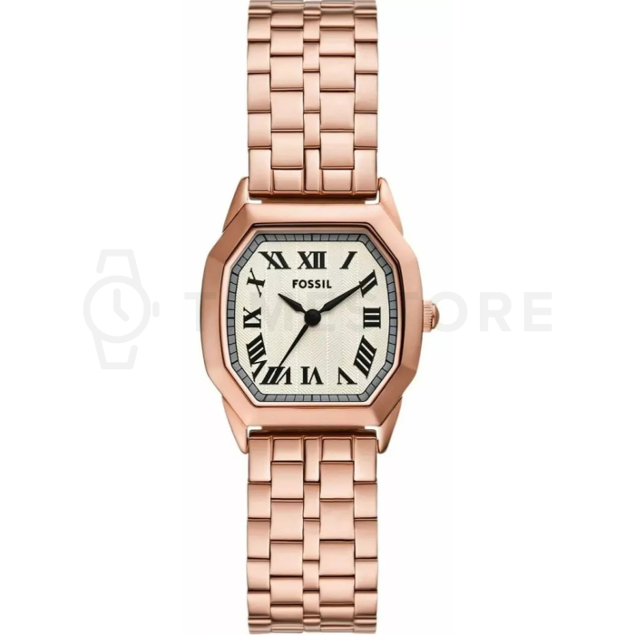 Fossil Harlow