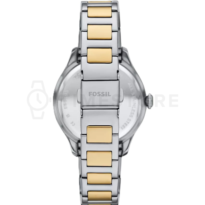 Fossil Gilmore