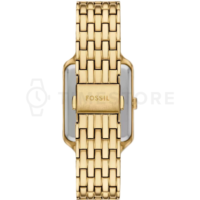 Fossil Raquel