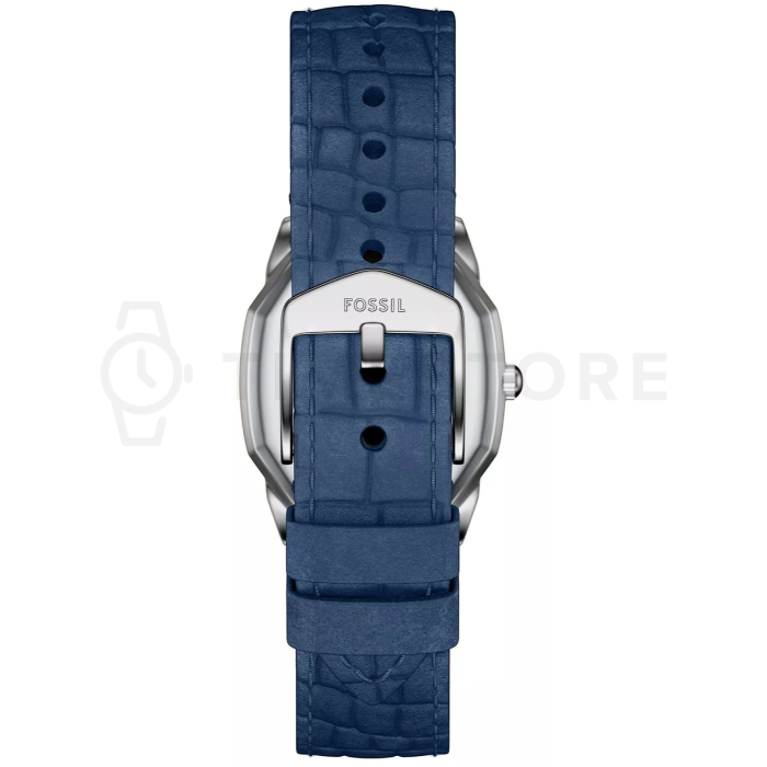 Fossil Harlow