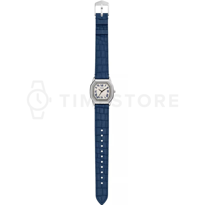 Fossil Harlow