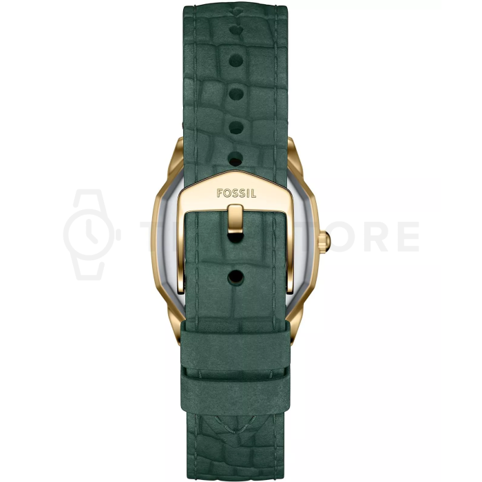 Fossil Harlow