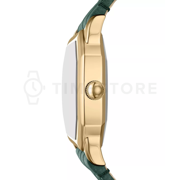 Fossil Harlow