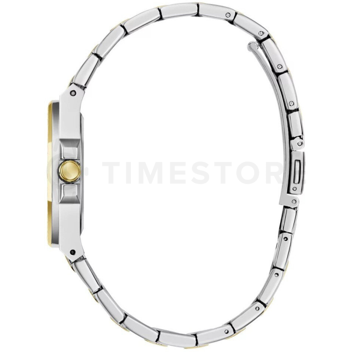 Guess Contessa