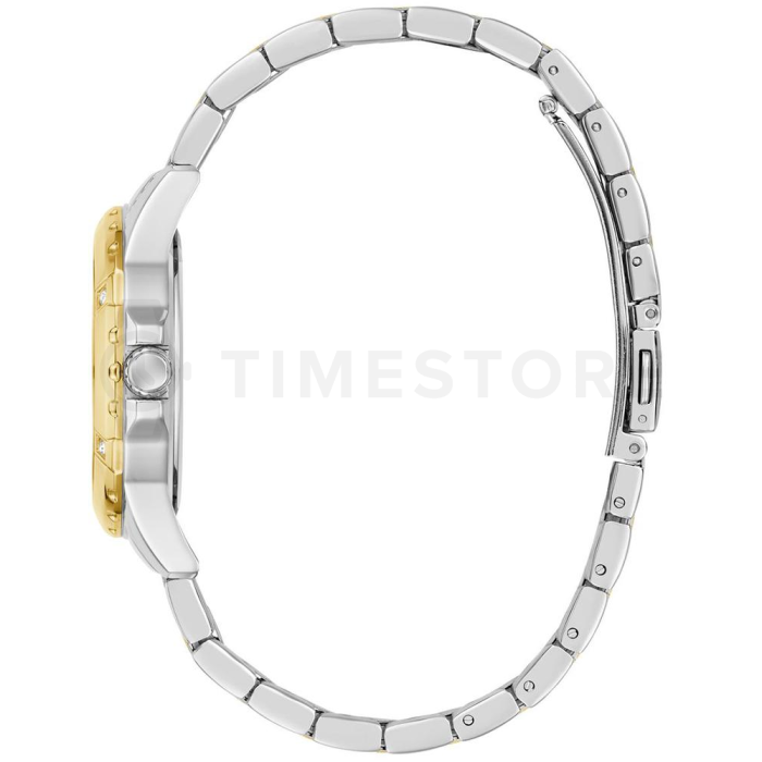 Guess Mist
