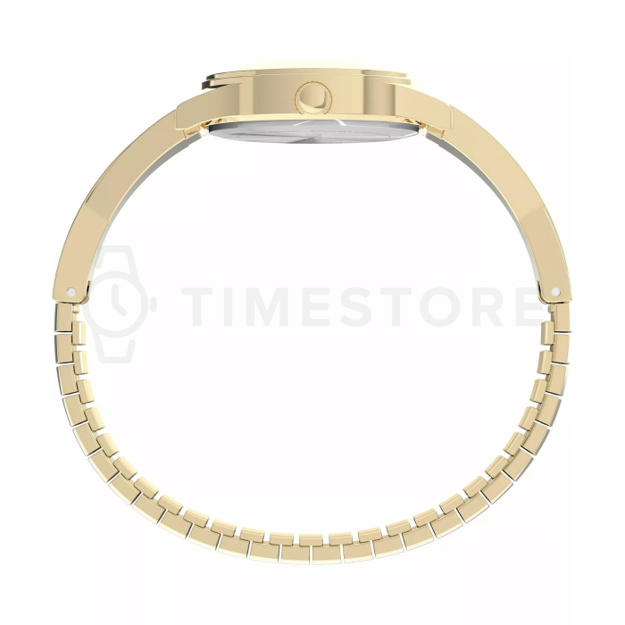 Timex Main Street