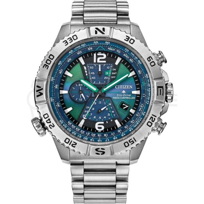 Citizen Promaster