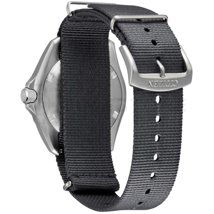 Citizen Promaster