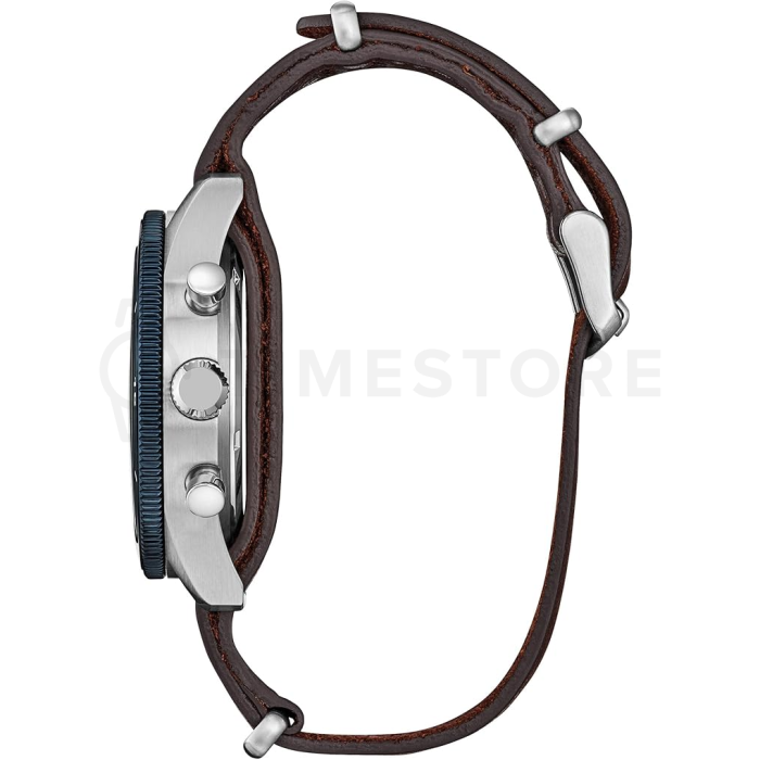 Citizen Terra Force