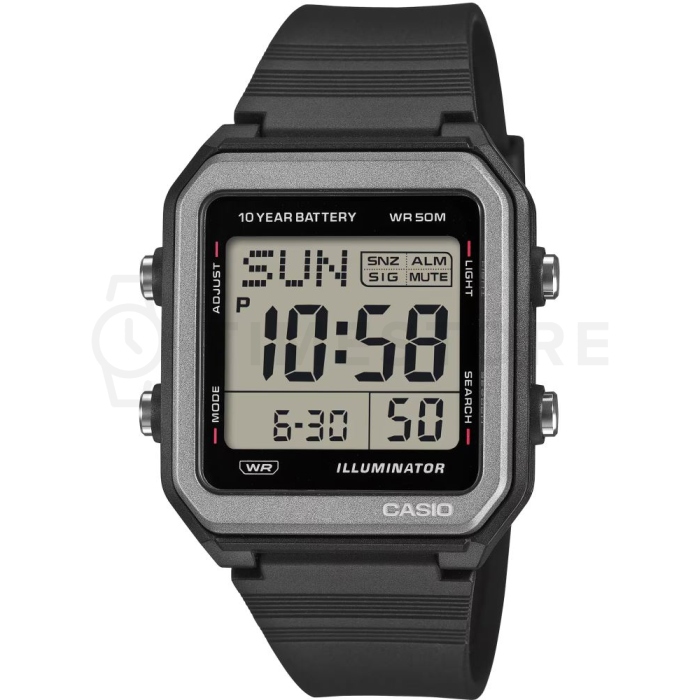Casio Timeless