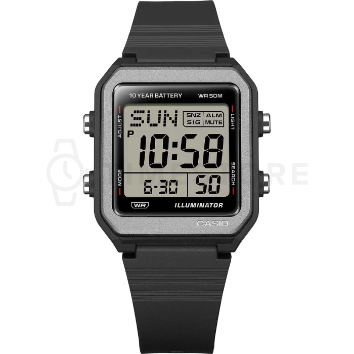 Casio Timeless