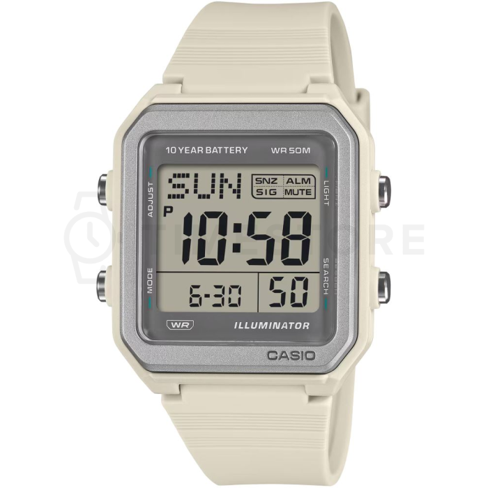 Casio Timeless
