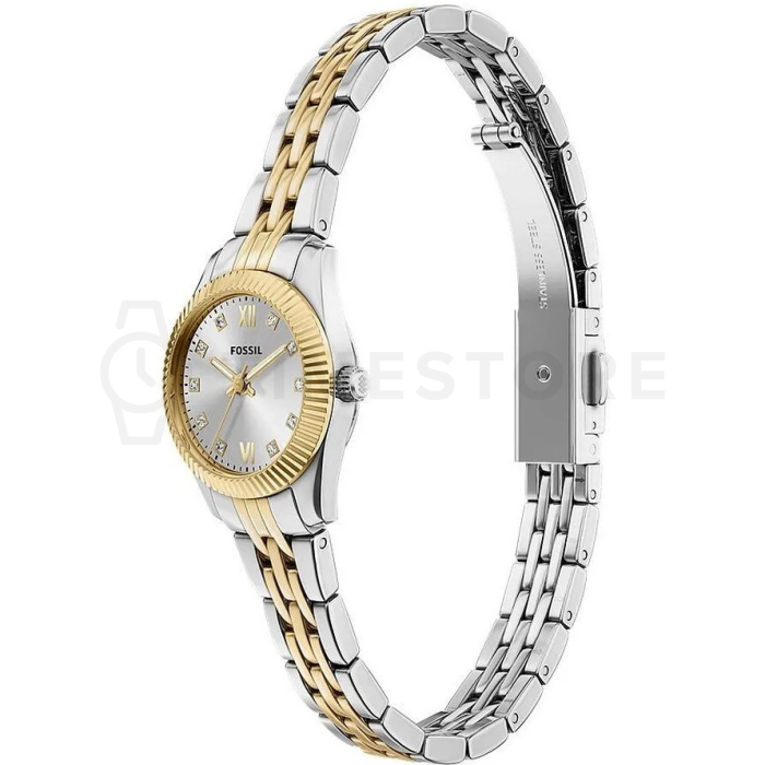 Fossil Scarlette