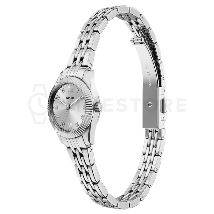 Fossil Scarlette