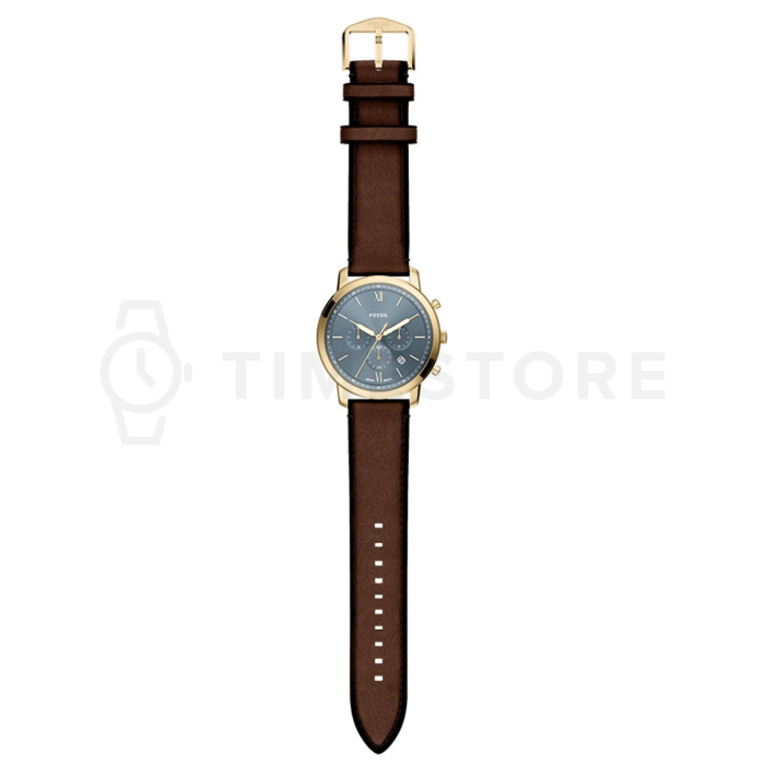 Fossil Neutra