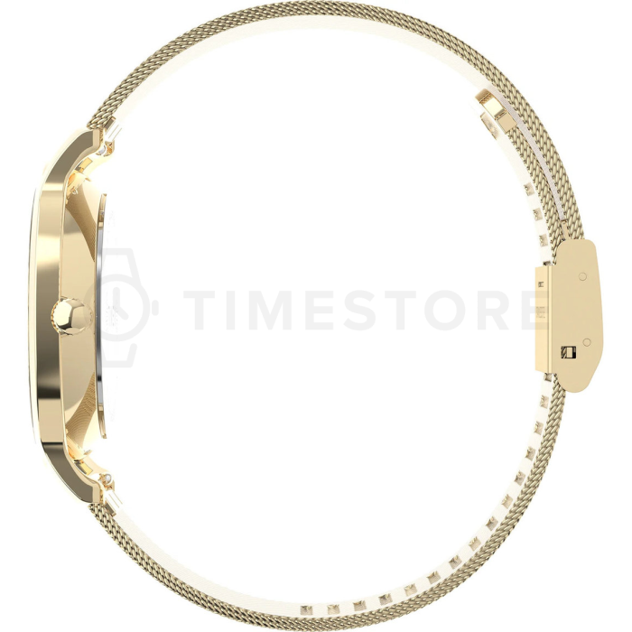 Timex Transcend
