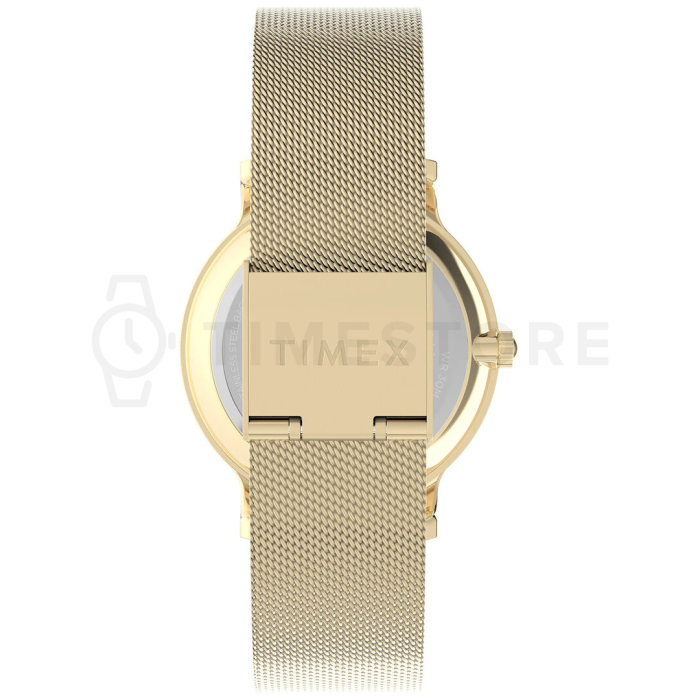 Timex Transcend