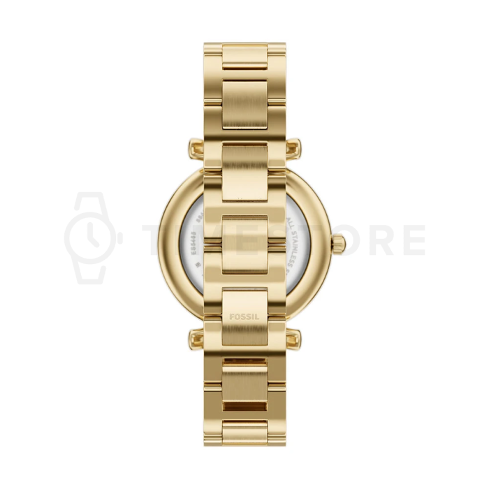 Fossil Carlie