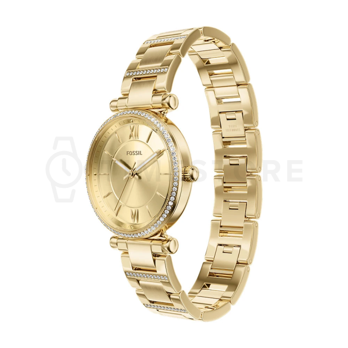 Fossil Carlie