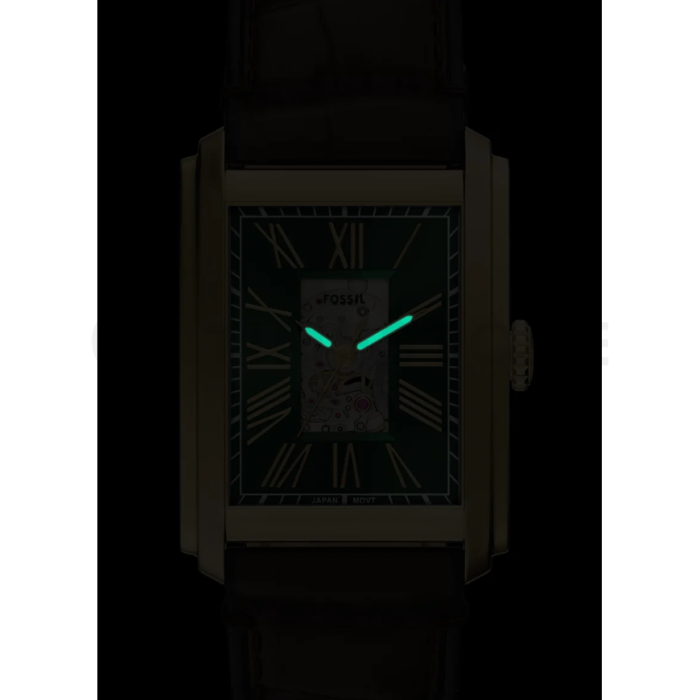 Fossil Carraway