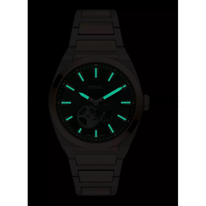 Fossil Everett