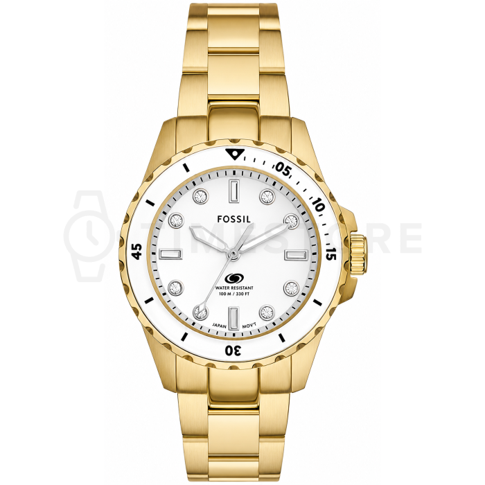 Fossil Dive
