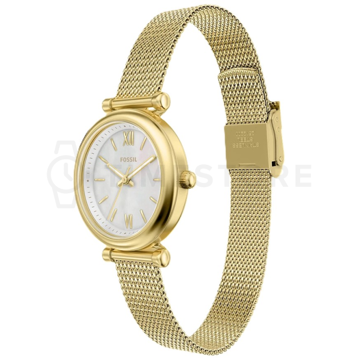 Fossil Carlie