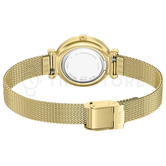 Fossil Carlie