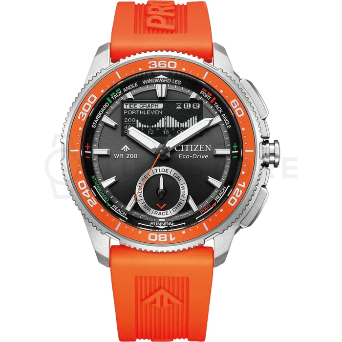 Citizen Promaster