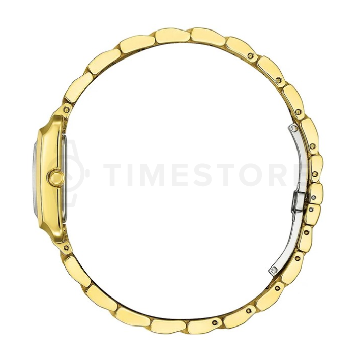 Citizen Elegance