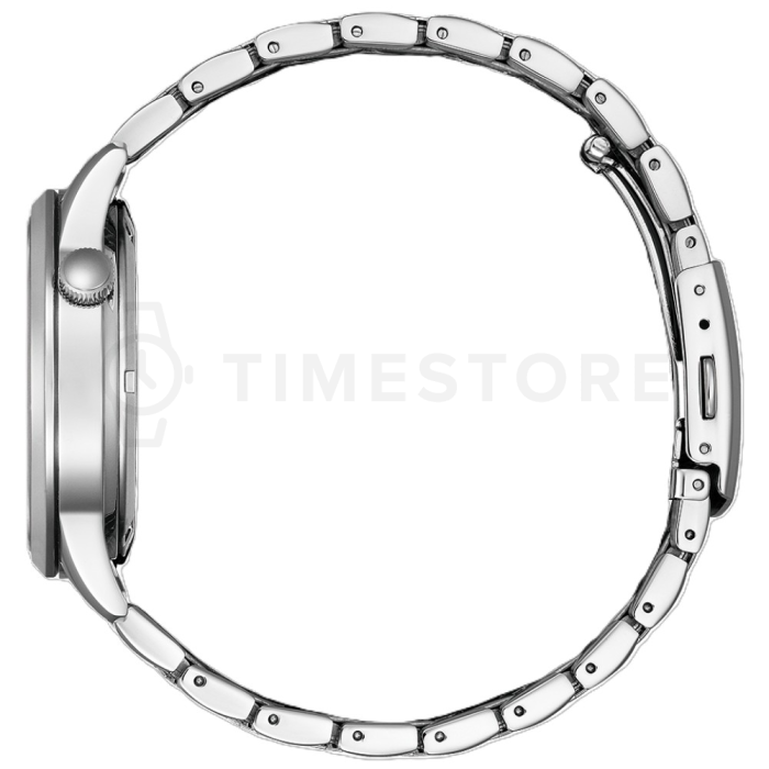 Citizen Elegant