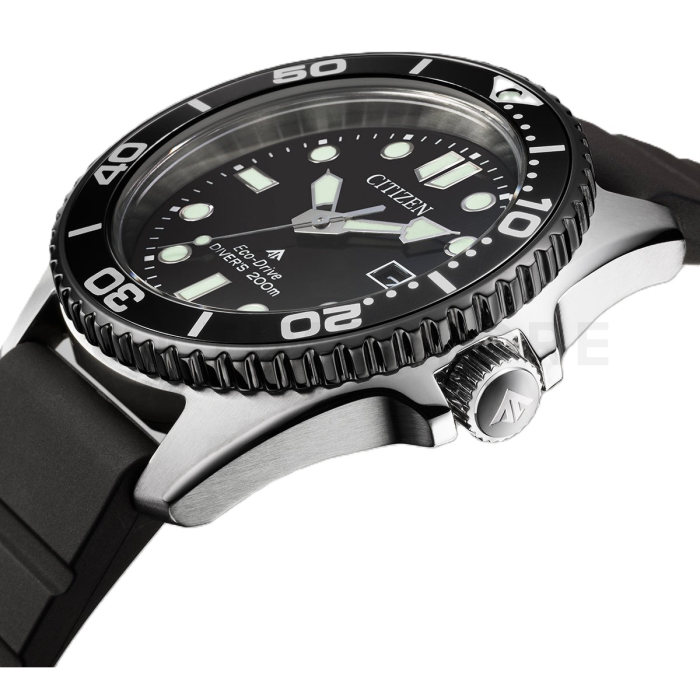 Citizen Promaster Marine