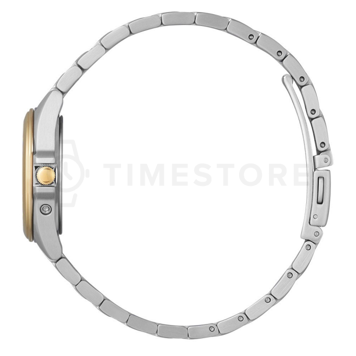 Citizen Elegant