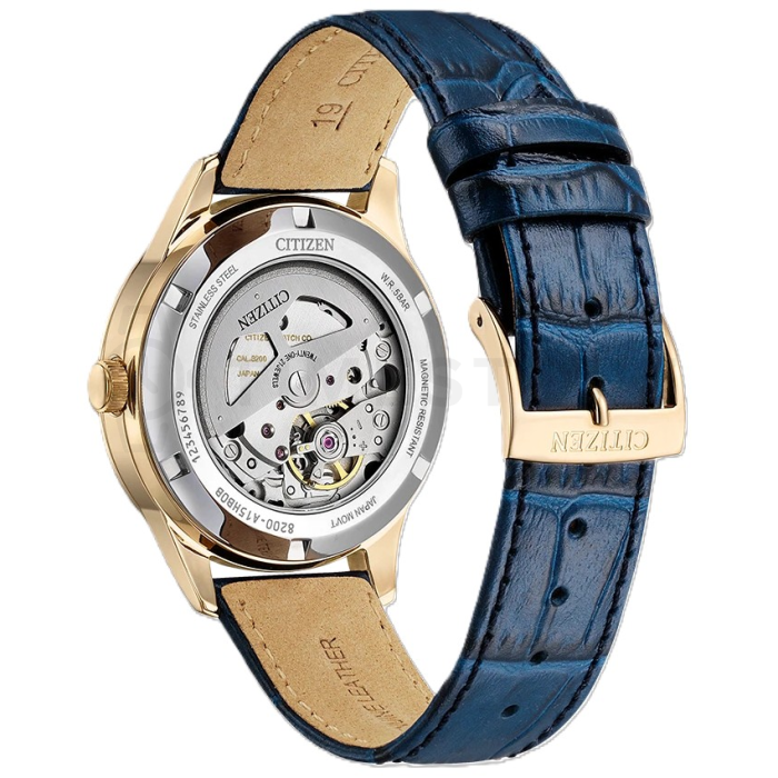 Citizen Mechanical